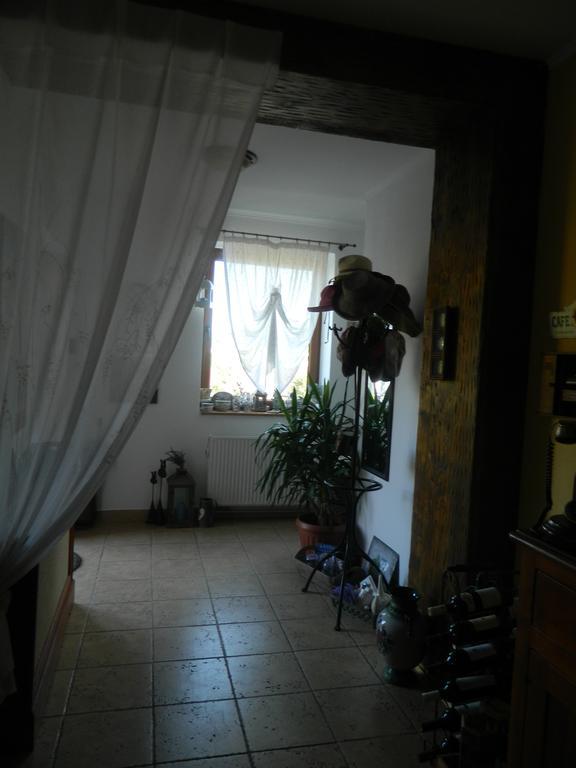 Pensiunea Romantic Sadu Esterno foto