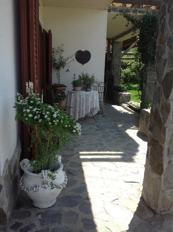 Pensiunea Romantic Sadu Esterno foto
