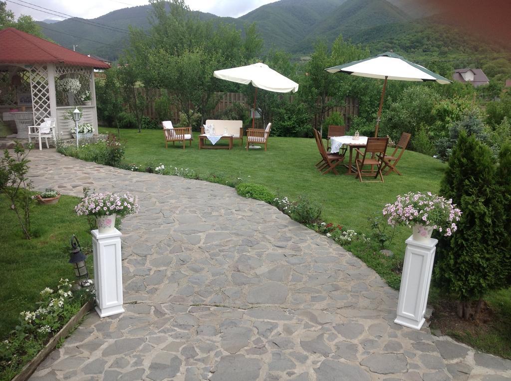 Pensiunea Romantic Sadu Esterno foto